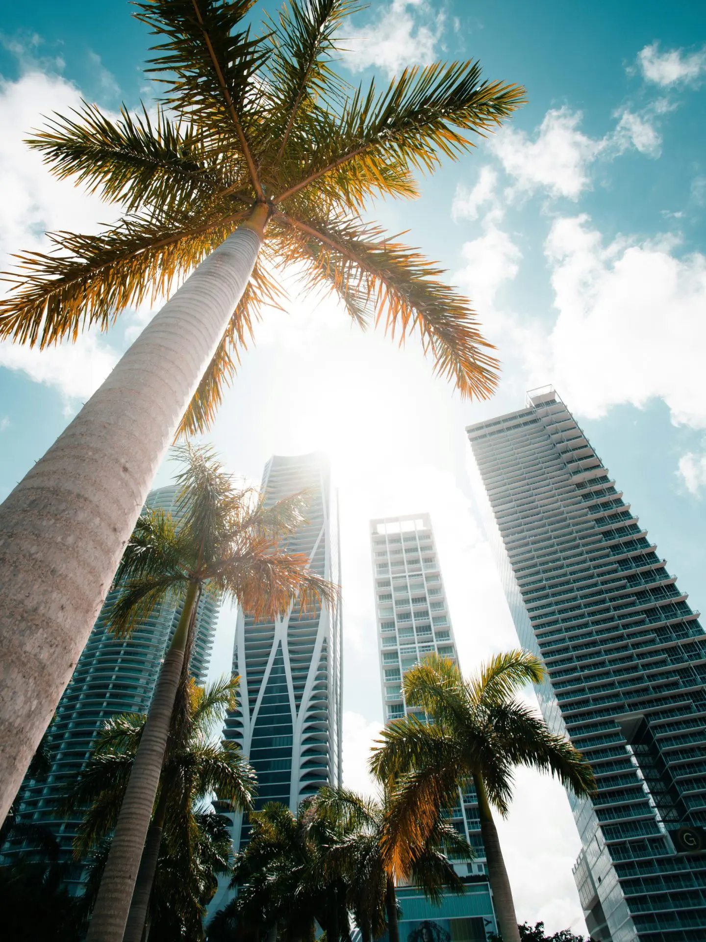 adam thomas bC6M3pYG71g unsplash scaled